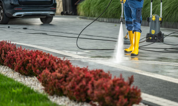 Best Driveway Pressure Washing  in Mpo, CA